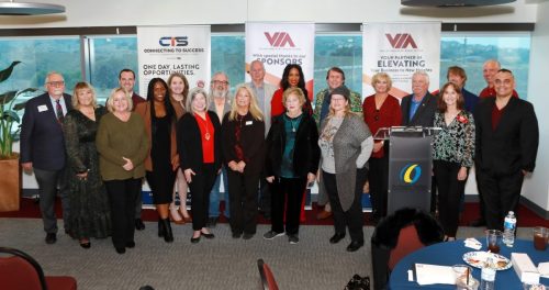 VIA Board Installatin 2024