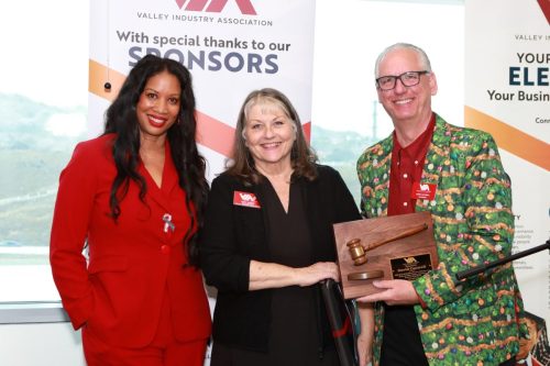 VIA Board Installatin 2024